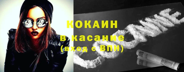 индика Горнозаводск