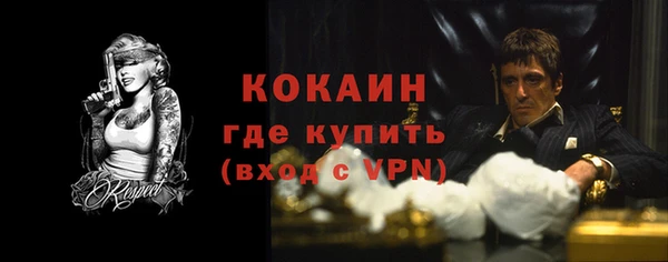 хмурый Дмитриев