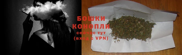 эйфоретик Гусиноозёрск